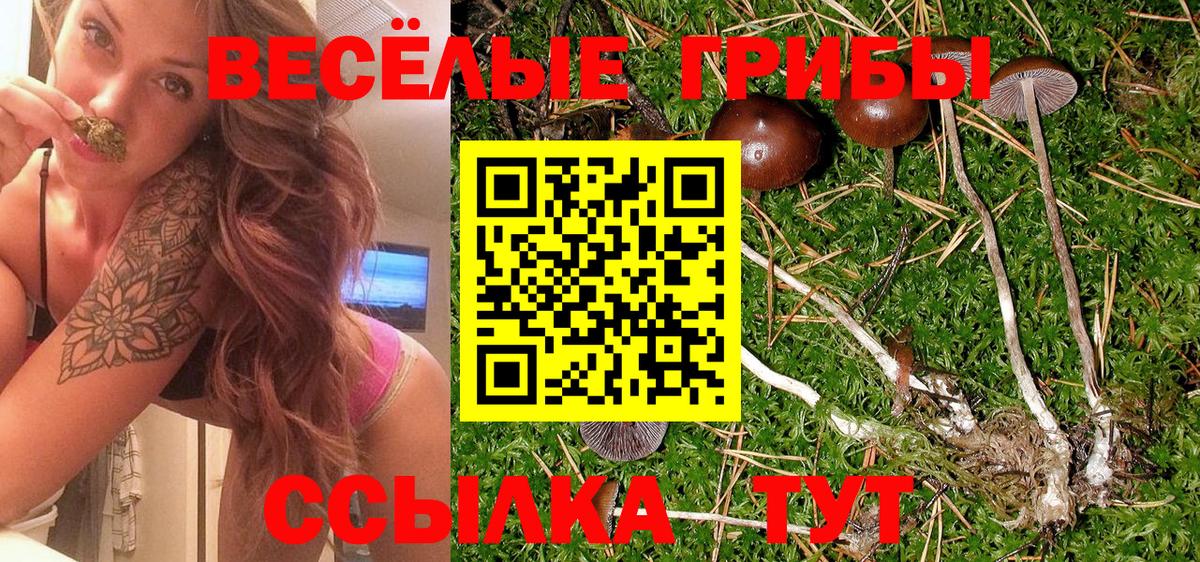 Галлюциногенные грибы мицелий  Вход с VPN  Назарово 